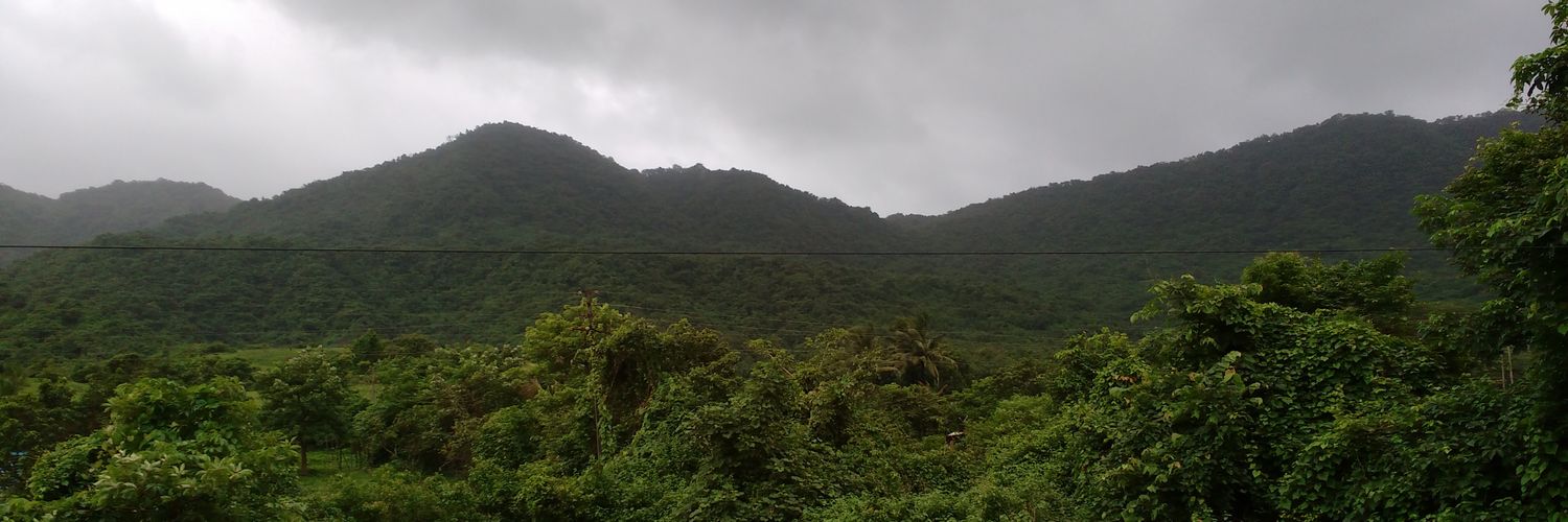 ppandey177's profile banner image