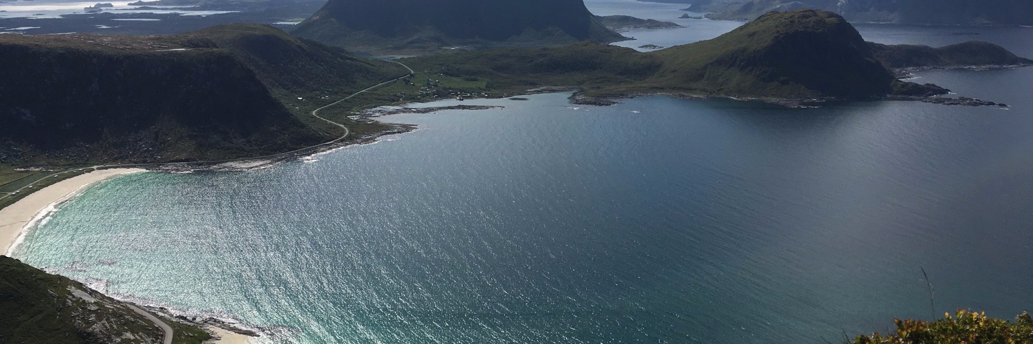 Andrew Pisansky banner