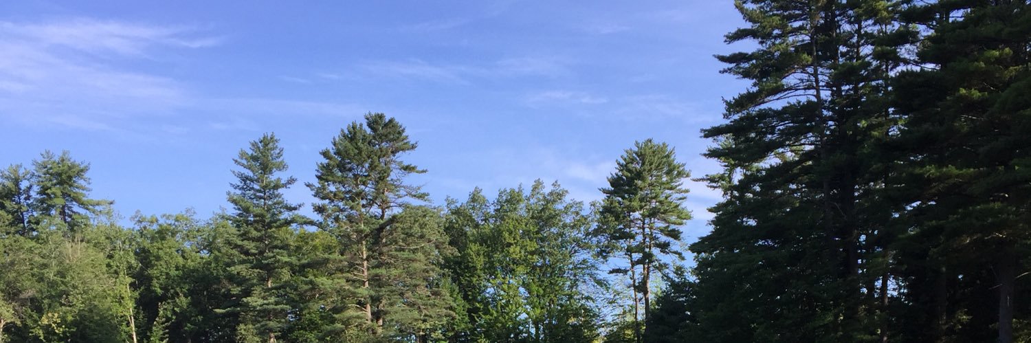 Christine Fay banner