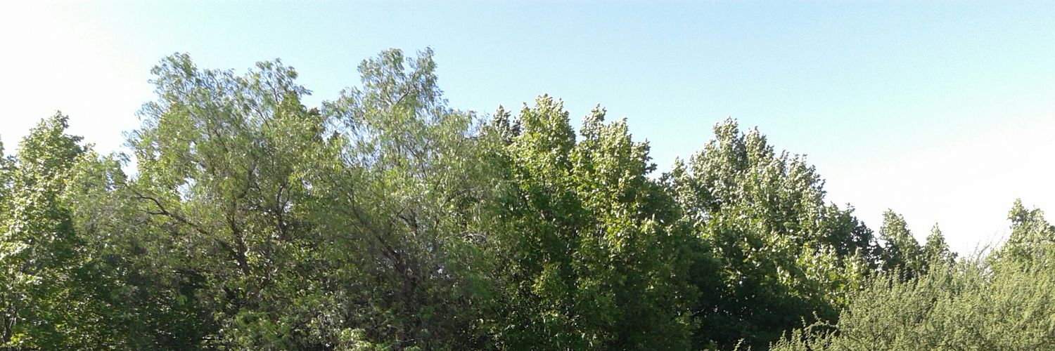 JenKlis's profile banner image
