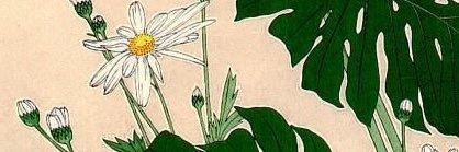 f_gardea's profile banner image