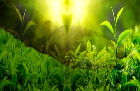 BiomaxIndia's profile banner image