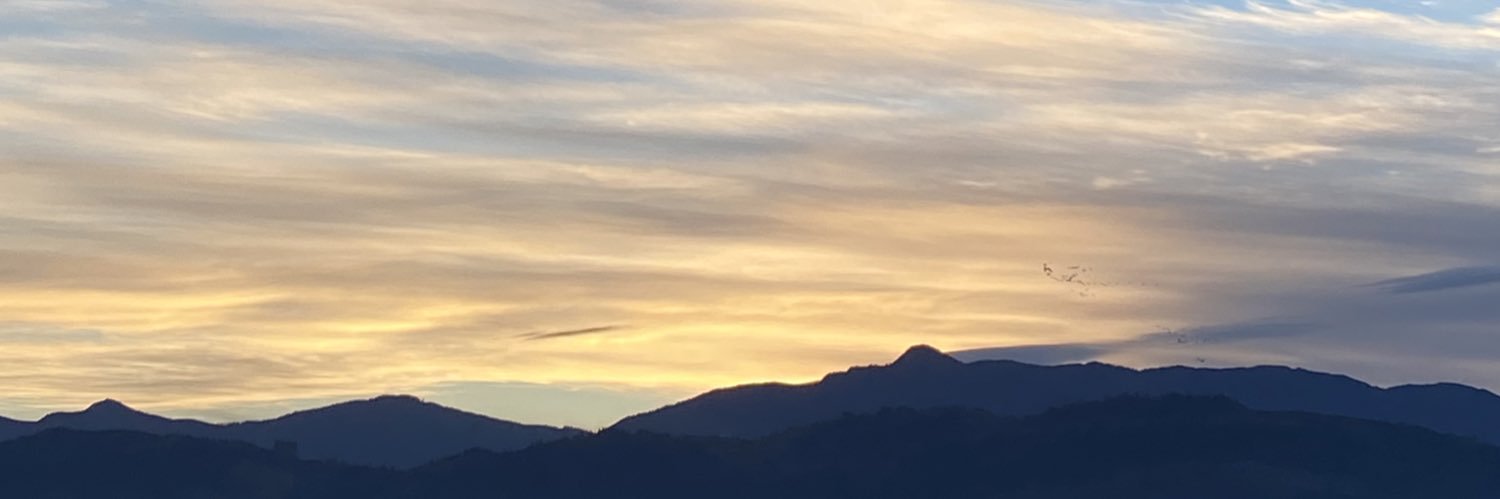 kimwitmer's profile banner image