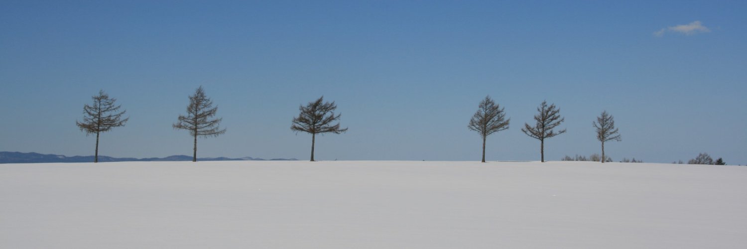 taigamishima's profile banner image