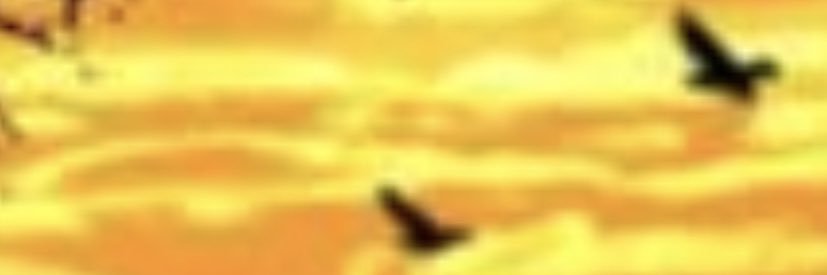 Gan3shak47's profile banner image