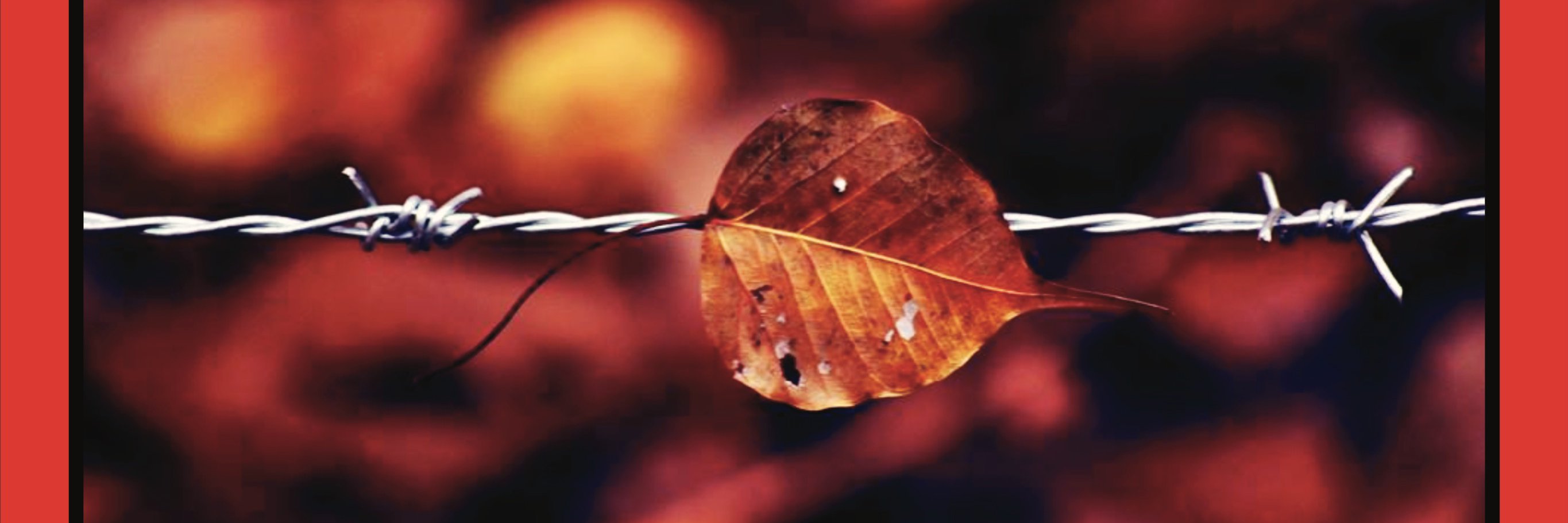 Border Studies In South Asia banner