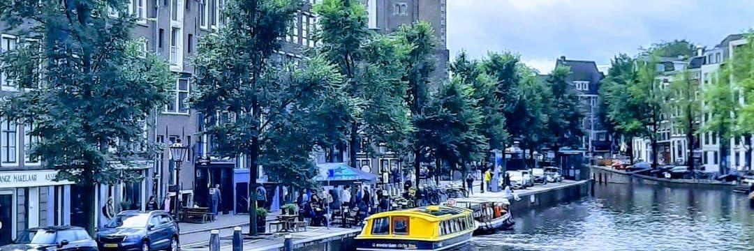 LuuzSool's profile banner image