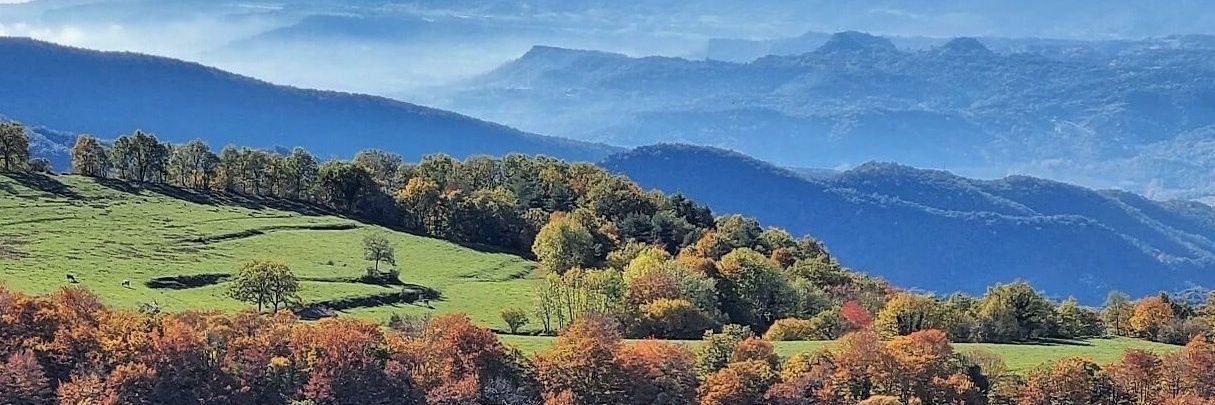 😺 CAT de Setmana banner