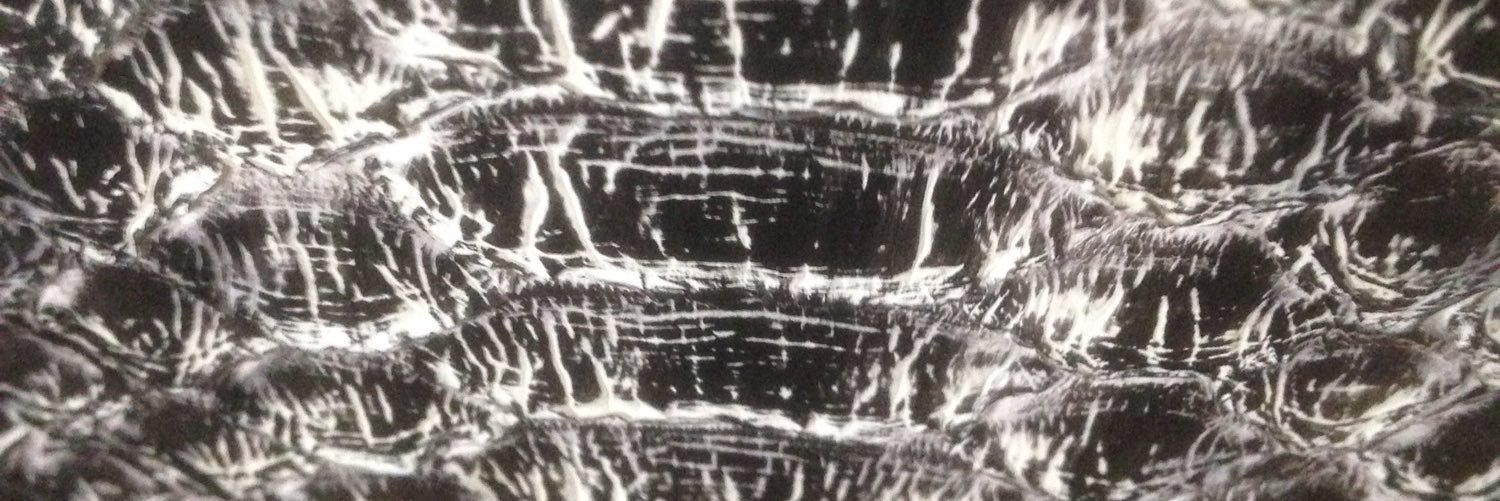 MaxNoce's profile banner image