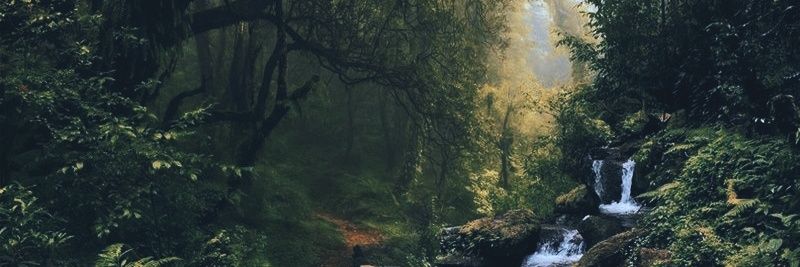 Maren_LFR's profile banner image
