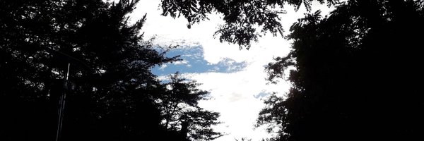 YL76510 Profile Banner