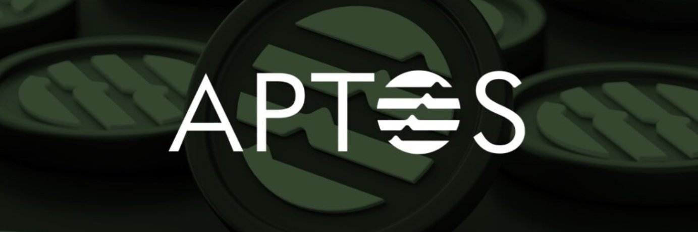 bb8crypto's banner