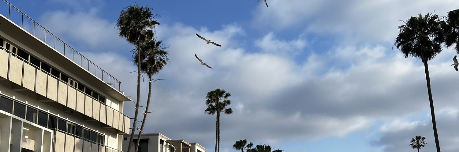 MrBirdMan banner