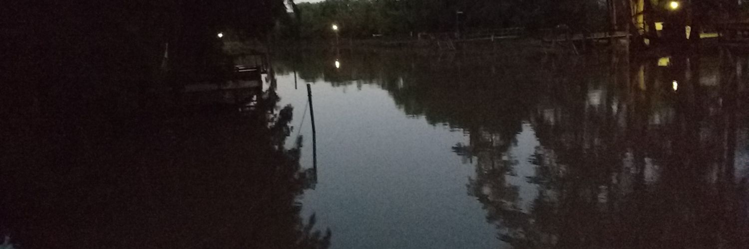 Nat Ulias ❤️💙 banner