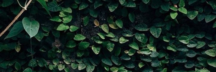 uumdan's profile banner image