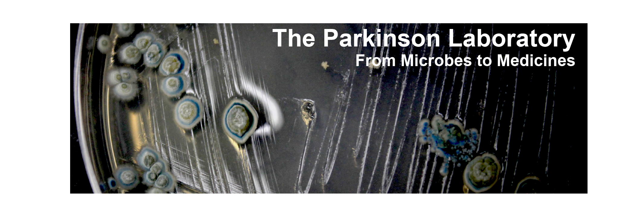 Parkinson Laboratory banner