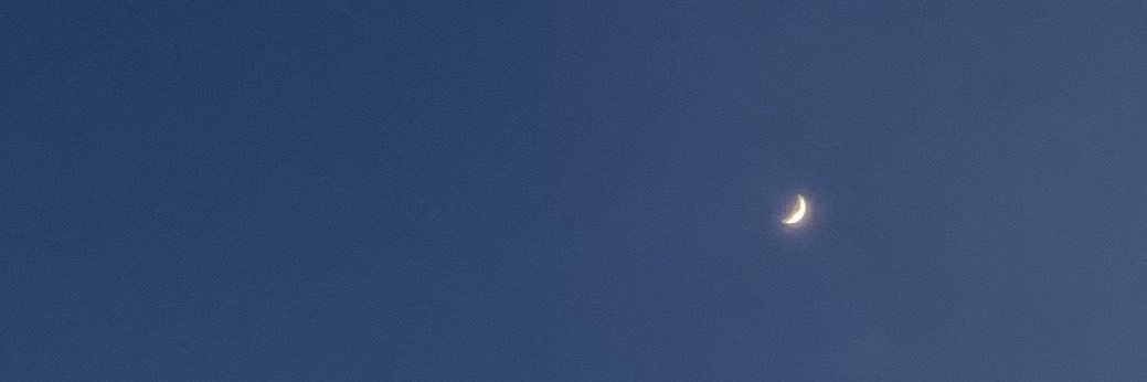 harmreed's profile banner image