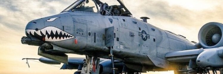 USAFVet MAGAveteran ✭ 🇺🇸 banner