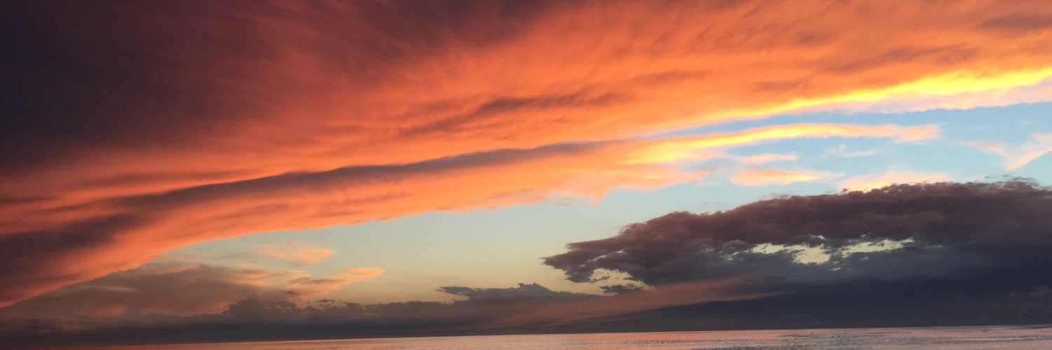 willotree37's profile banner image