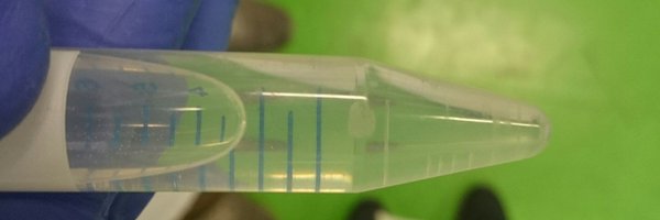 palopeb Profile Banner
