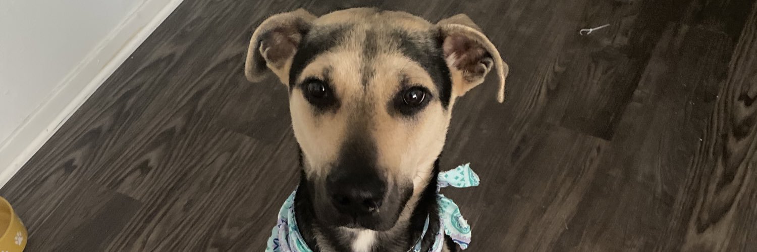 DunnReese's profile banner image