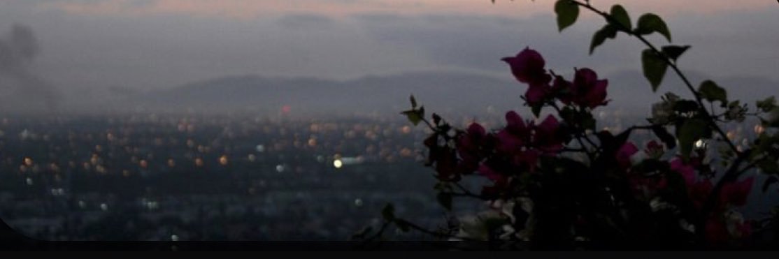 MonettXOXO's profile banner image