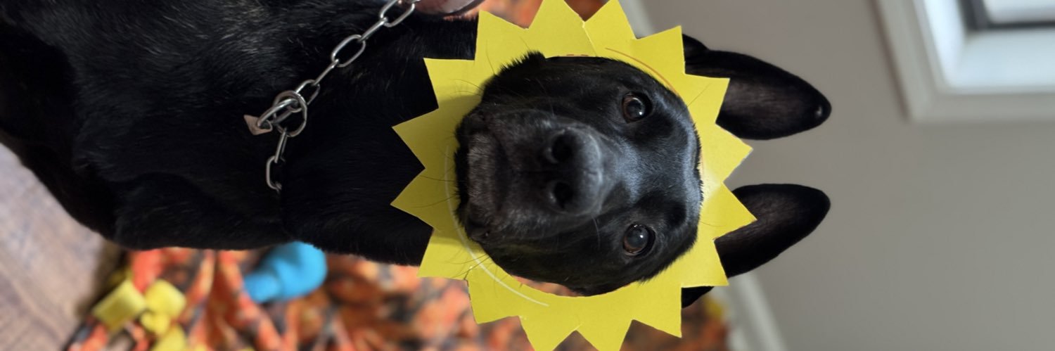 ZaneMcDaniel's profile banner image