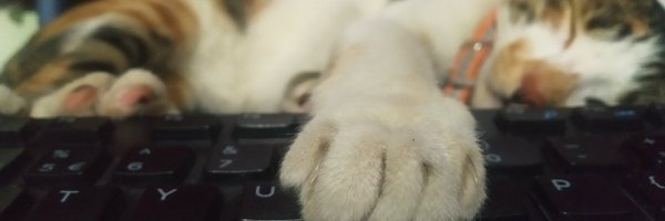 _pandafy_ Profile Banner