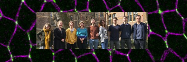 SansonLab Profile Banner