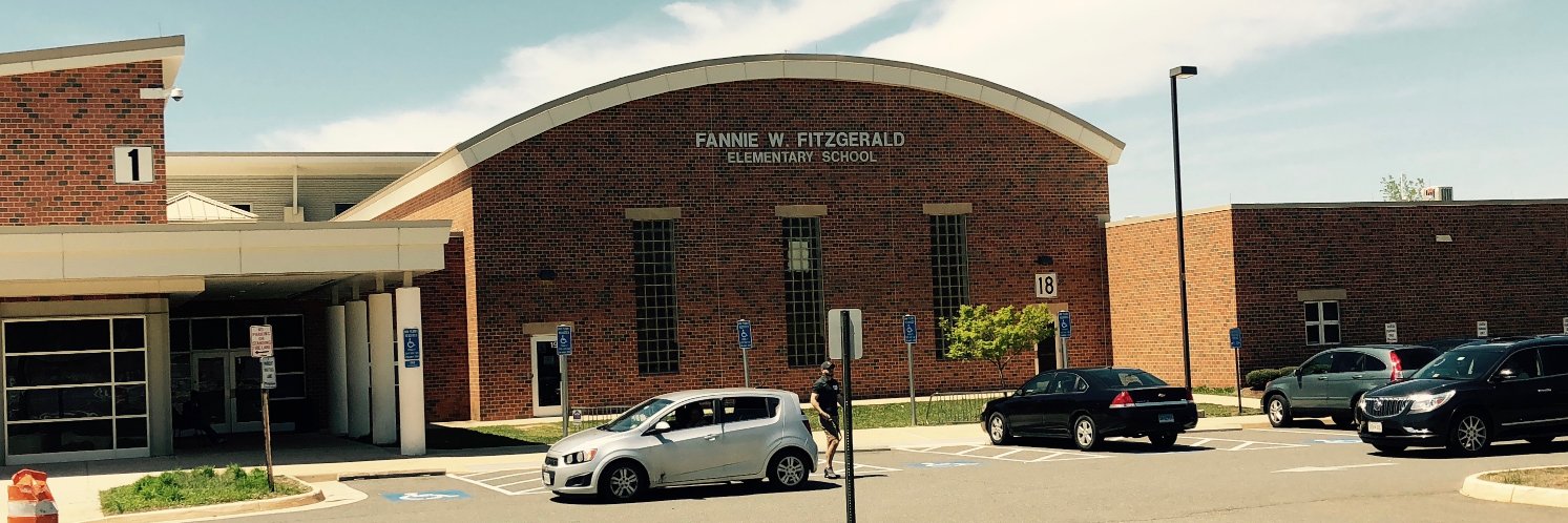 FFES_FantasticFitzies banner