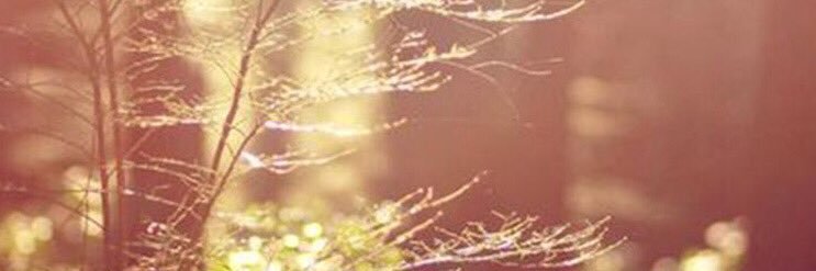 aka? banner