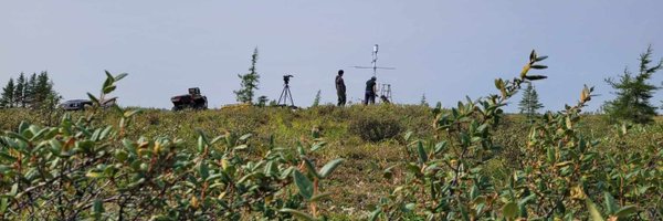 n_ballist Profile Banner