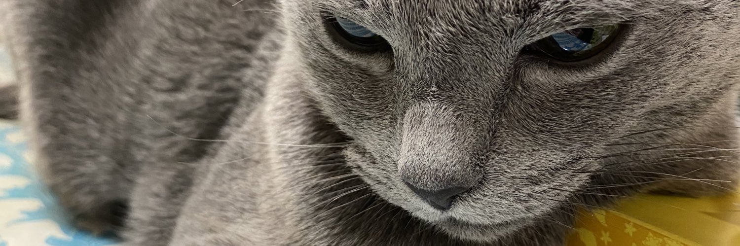 LUVroolq's profile banner image