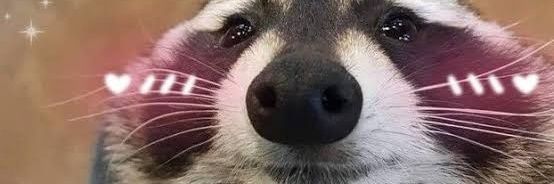 SW. banner