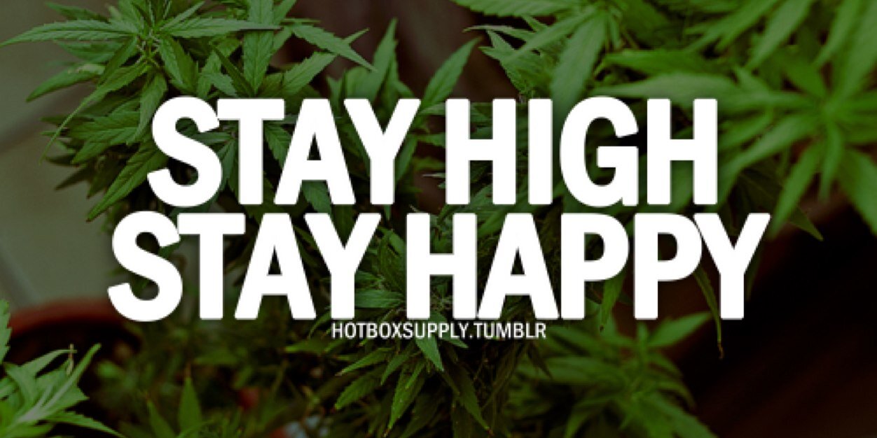 stoner_dudes's profile banner image