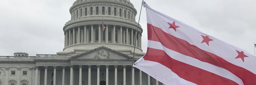 EChO (Eleanor Ory), PhD 🌻🇺🇦 banner