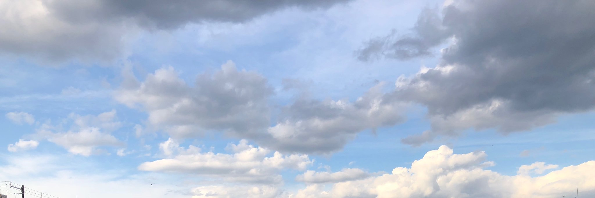 belliizbell's profile banner image