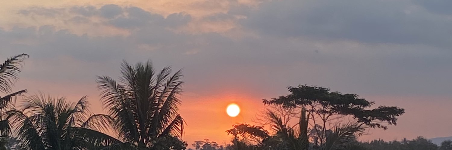 iann banner