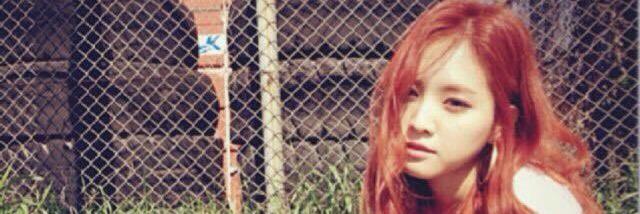 flows banner