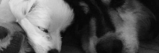 emilyaagaard's profile banner image