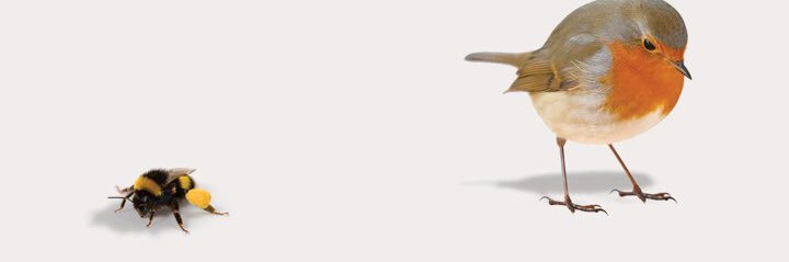 META banner