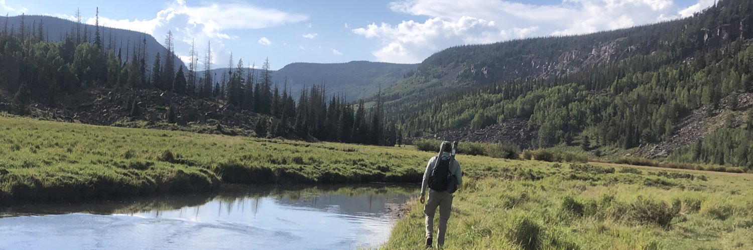 BugniDillon's profile banner image
