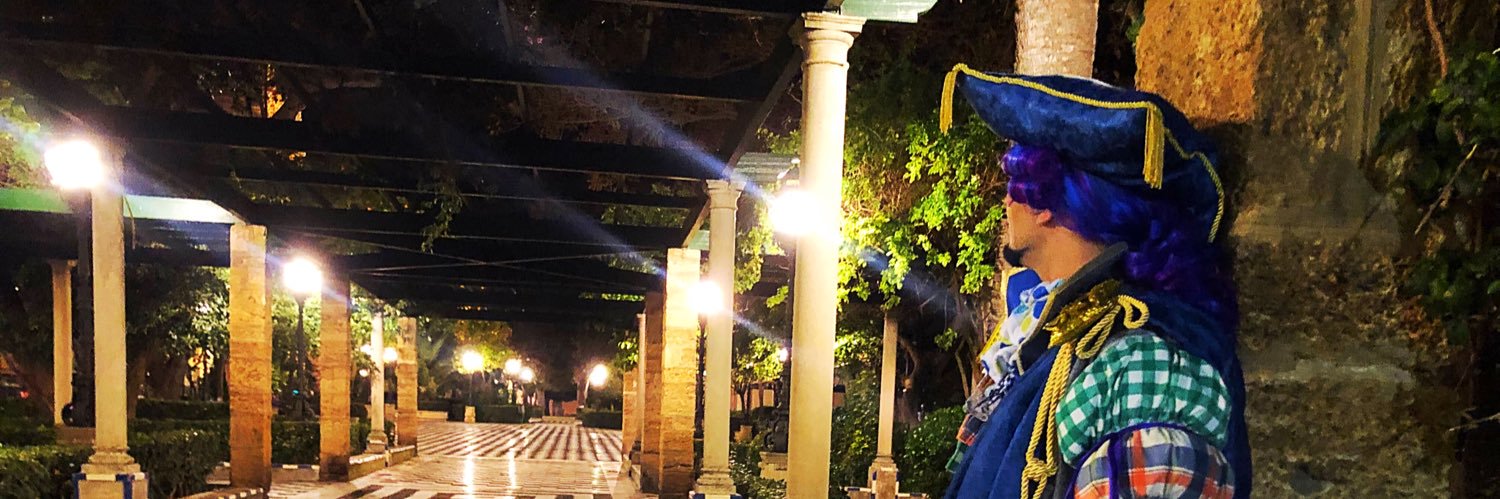 javierchulito8's profile banner image