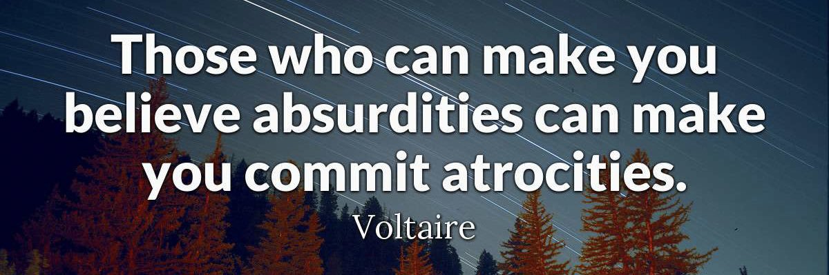 The Small, Good Wolf (will help build your house) banner