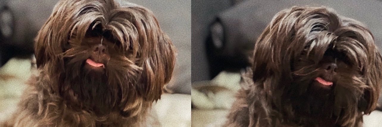 marncaryl's profile banner image
