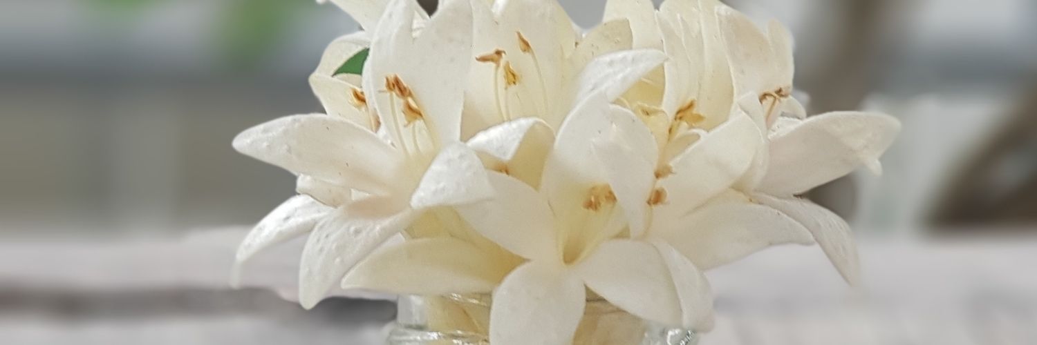 badpeach1's profile banner image