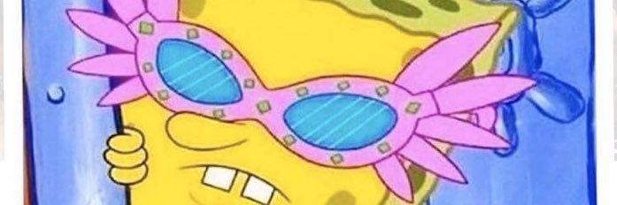 tigerlilli__'s profile banner image