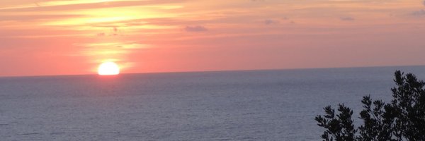alice_ledda_ Profile Banner
