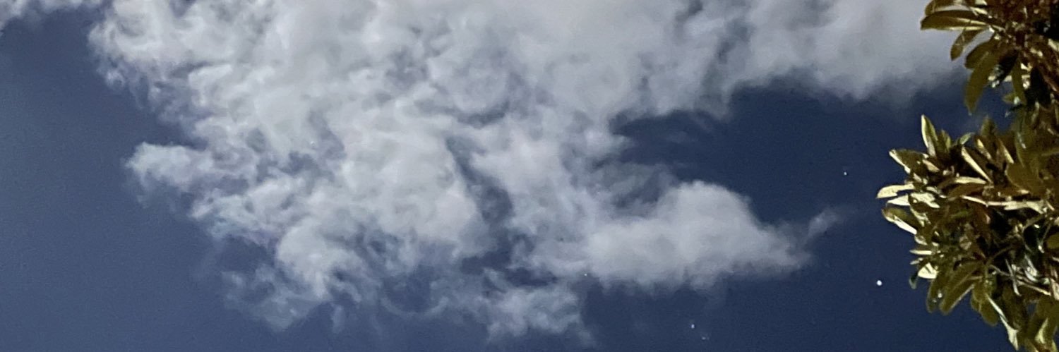 tachu_nc11's profile banner image