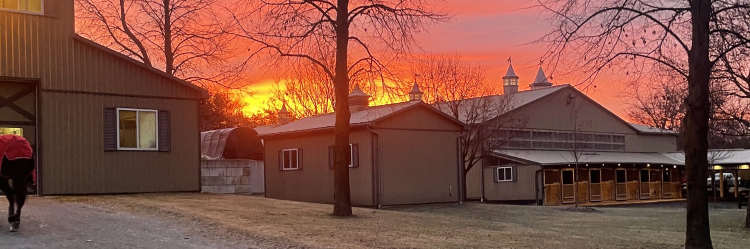 HillierCaity's profile banner image